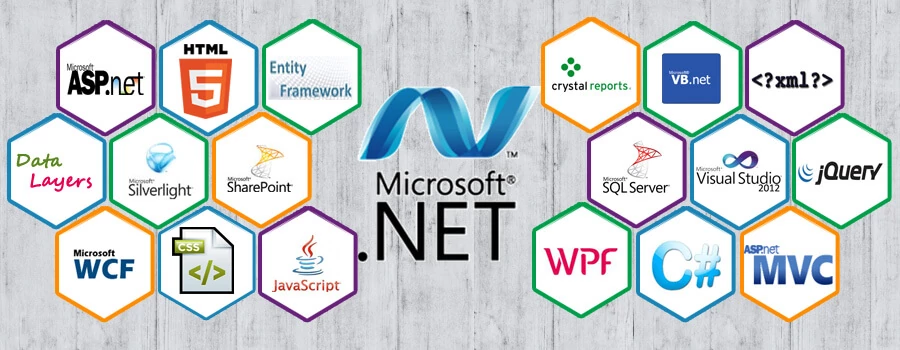 Vocational Training internship in ASP.NET development Live Project training