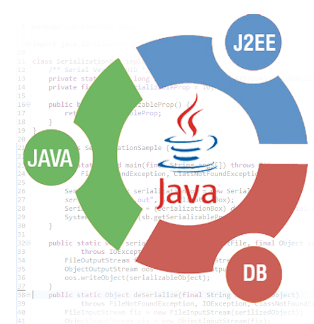 Java Training Institute